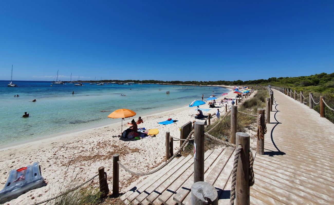 Photo of Platja de Son Saura with bright sand surface