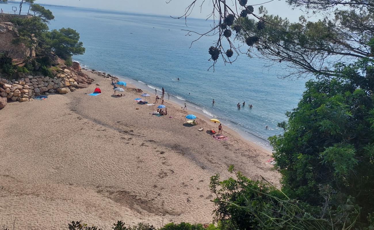 Photo of Cala Dels Vienesos with bright sand surface