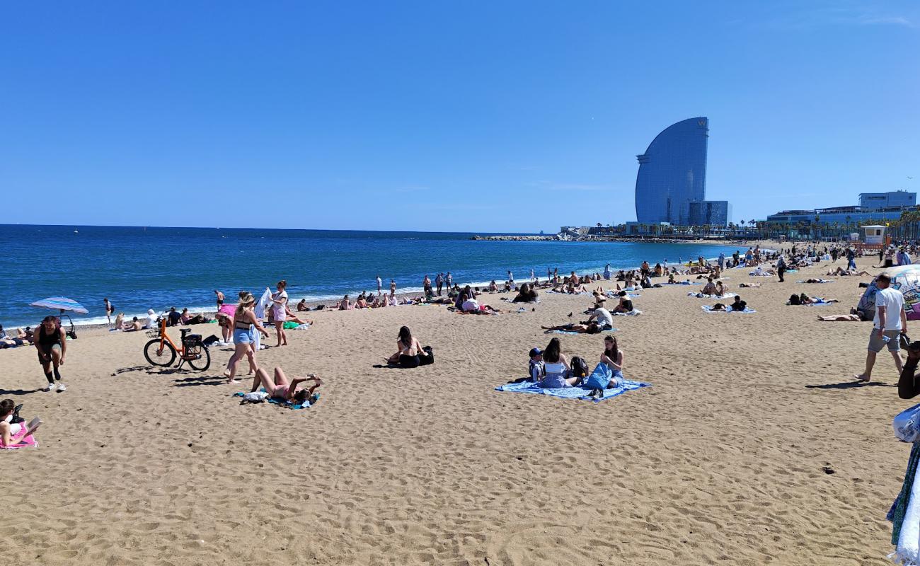 Photo of San Sebastian Beach with bright sand surface