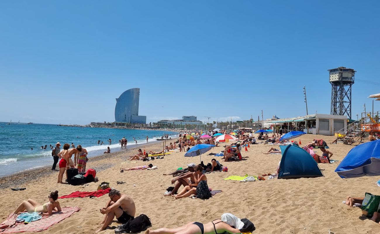 Photo of Platja de Sant Miquel with bright sand surface