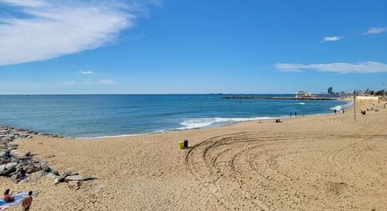 Llevant Beach