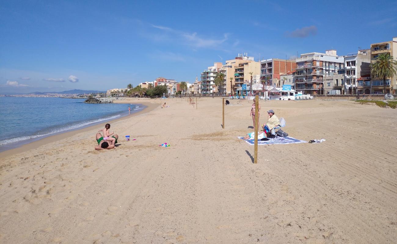 Photo of Bellamar Beach with bright sand surface