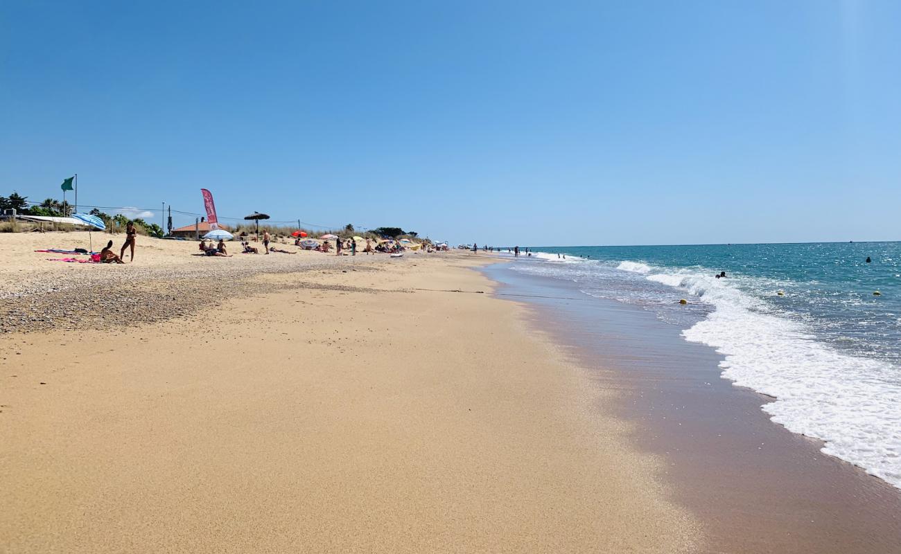 Photo of Platja De La Punta De La Tordera with bright sand surface