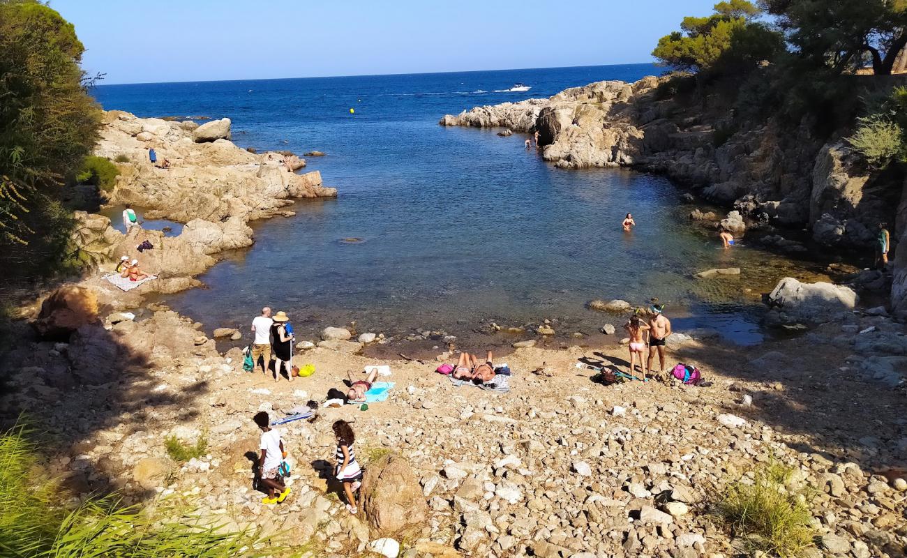 Photo of Cala Pedrosa with rocks cover surface