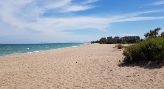 Platja del Brosquil