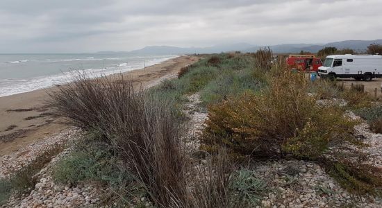 Platja Sud de Torreblanca