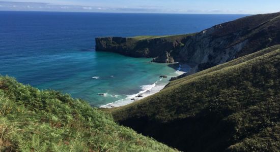 Playa el Vivero