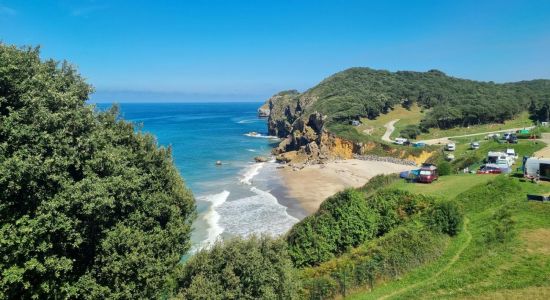 Playa de las Arenas