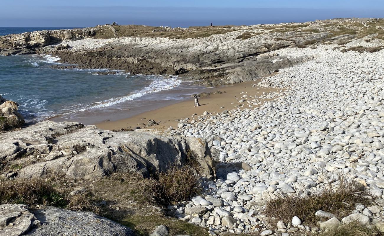 Photo of Playa Rosamunda with light pebble surface