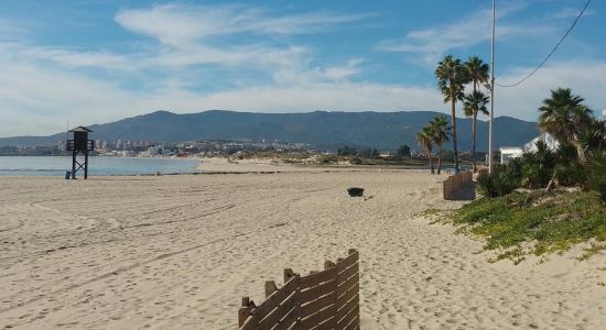 Playa De Palmones