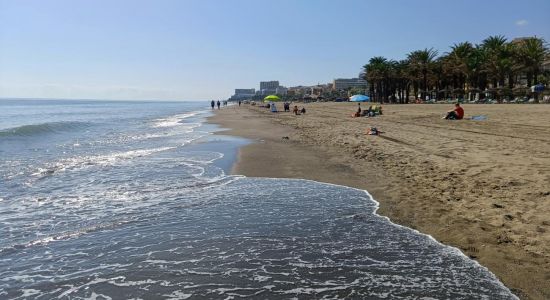 Playa de los Alamos