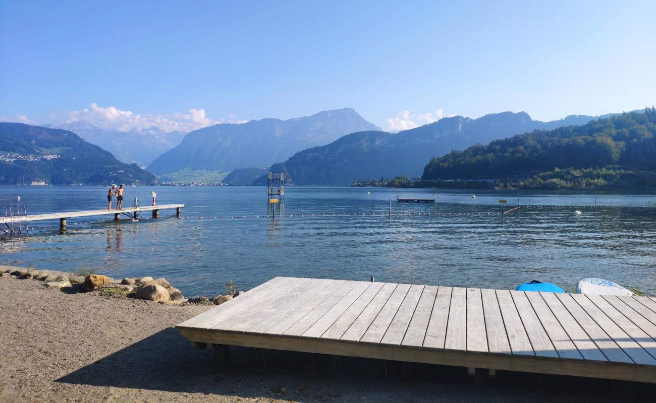 Photo of Lido Horw with grass surface