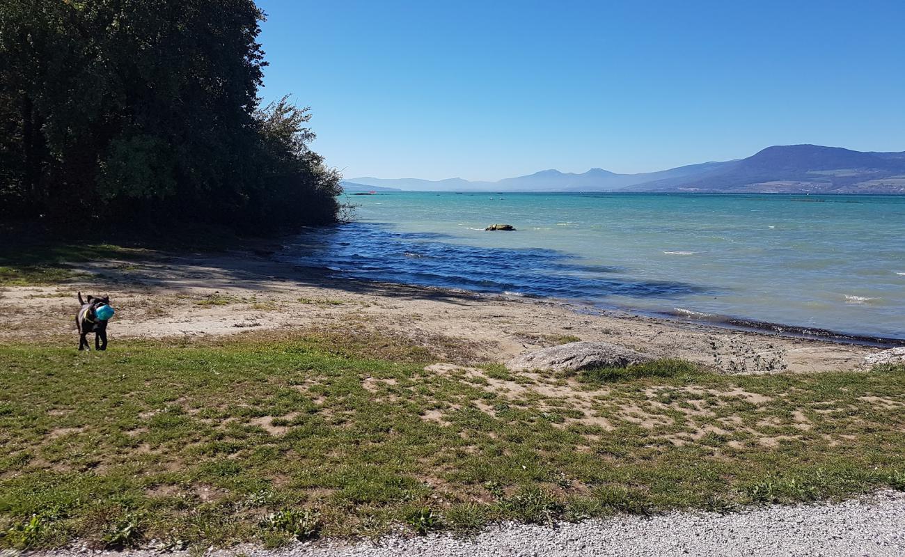 Photo of Forel plage with bright sand surface