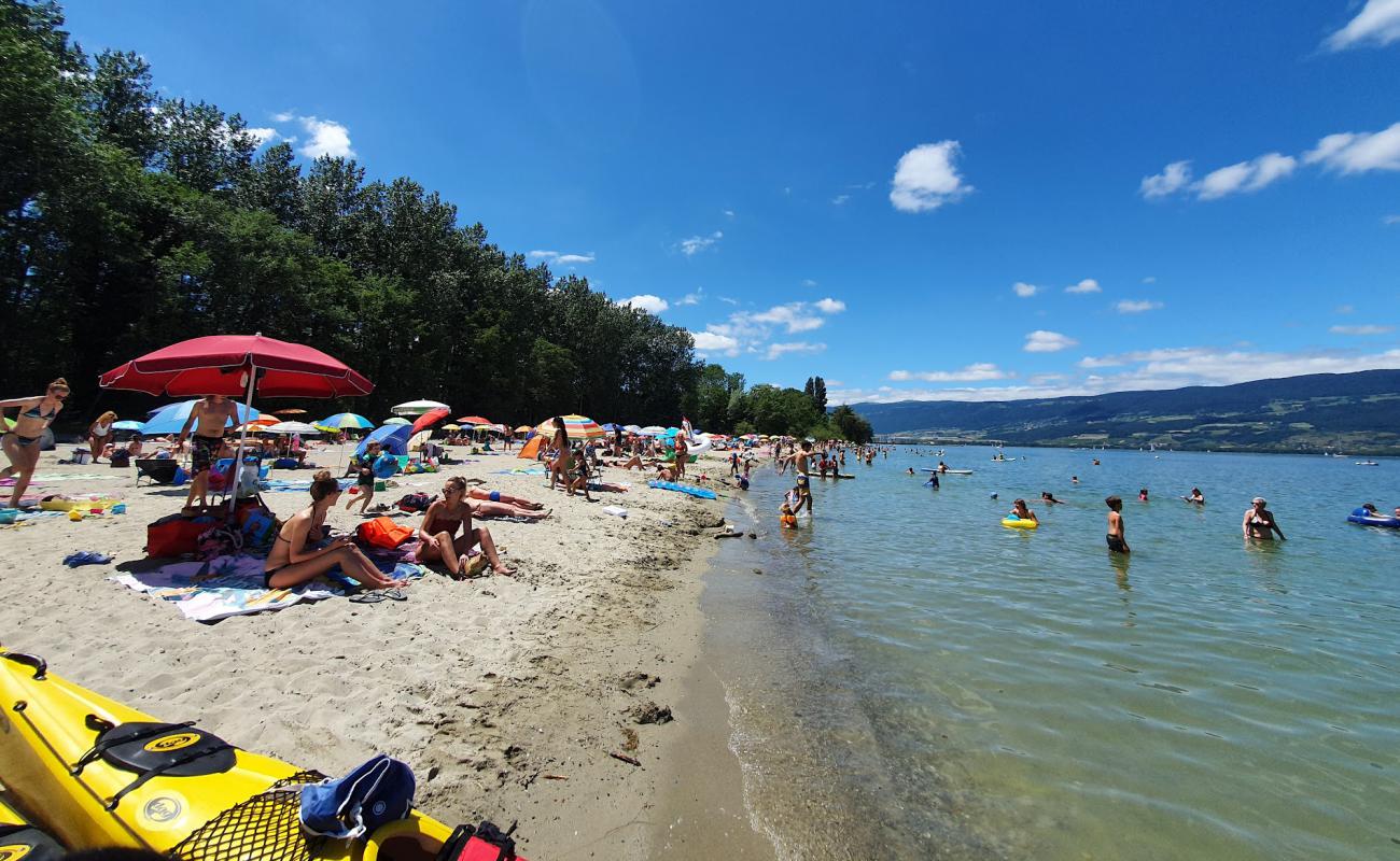 Photo of Plage des Pins d'Yvonand with bright sand surface