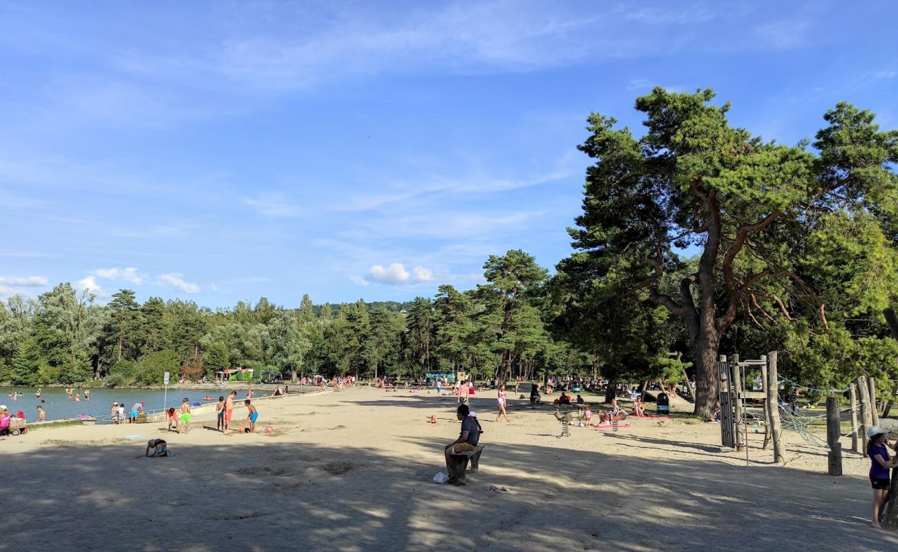 Photo of Plage d'Yverdon-les-Bains with bright sand surface