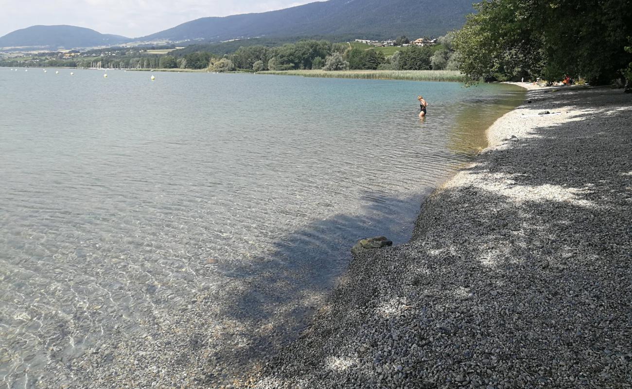 Photo of Plage de la Pointe du Grain with gray fine pebble surface