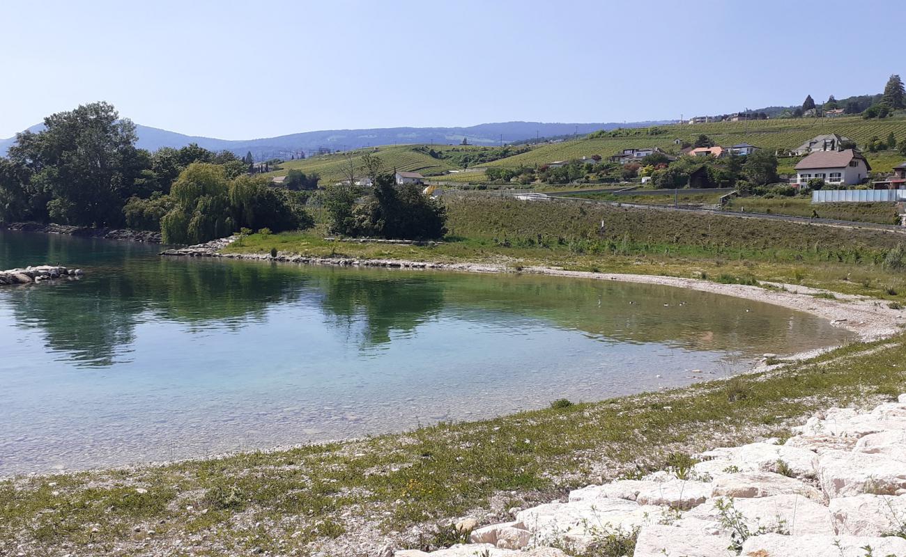 Photo of Plage de Serrieres with rocks cover surface