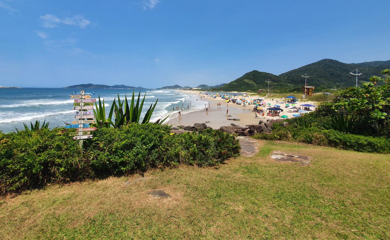 Photo of Siriu Beach with bright fine sand surface