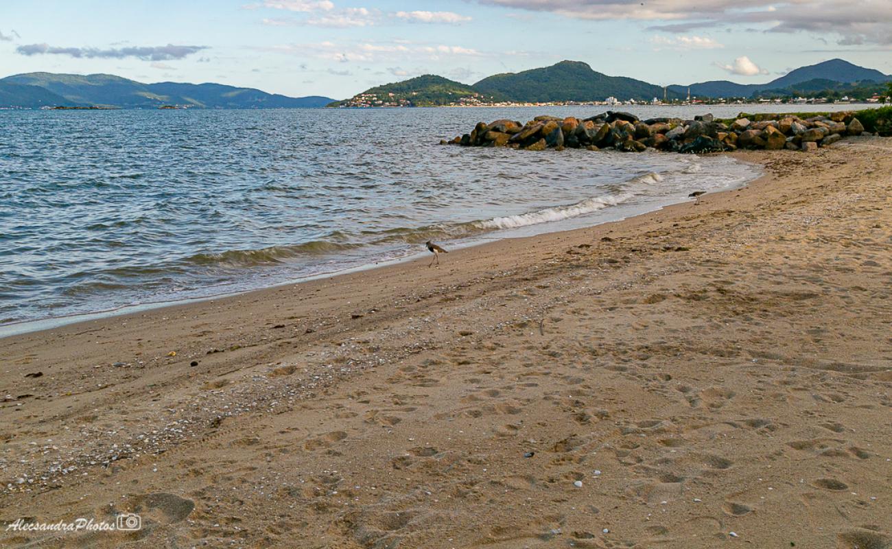 Photo of Pontal Beach with bright sand surface