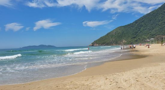 Rio das Pacas Beach