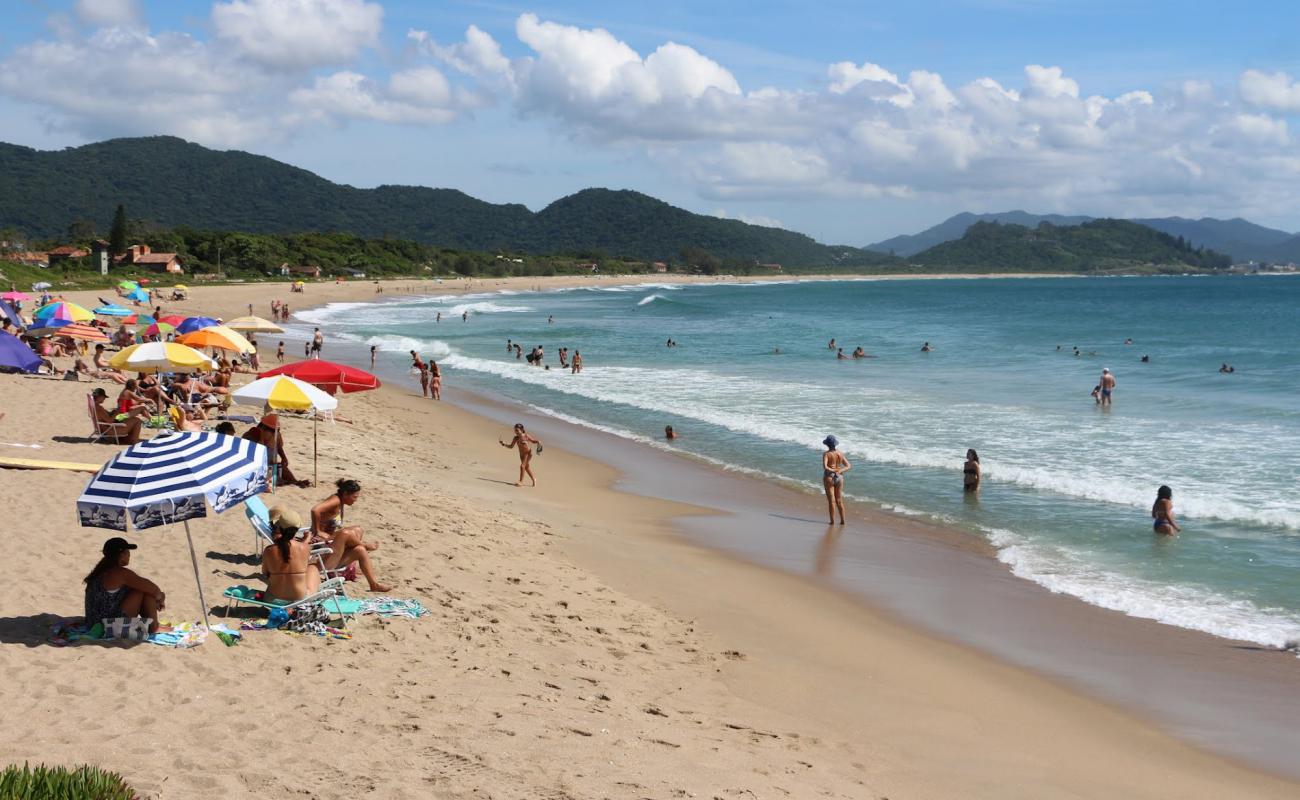 Photo of Armacao Beach with bright fine sand surface