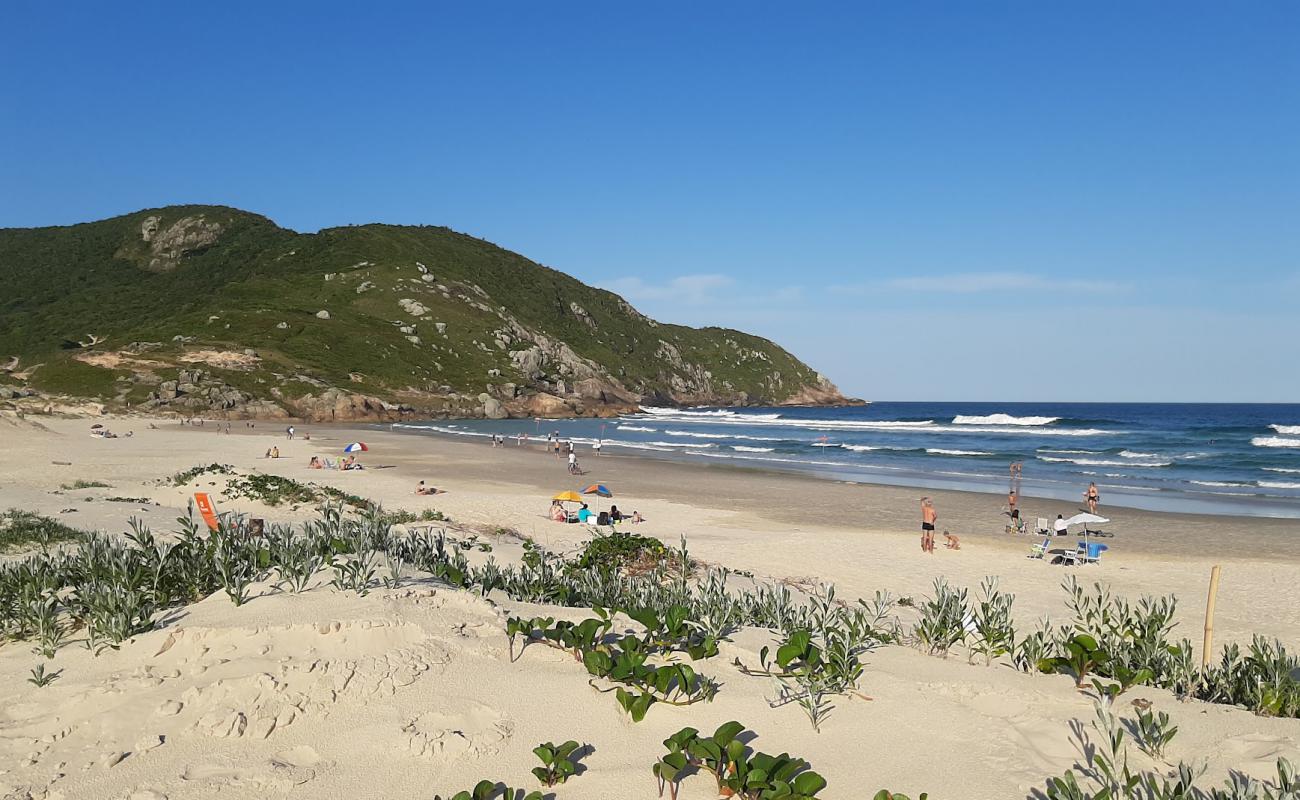 Photo of Santinho Beach with bright fine sand surface