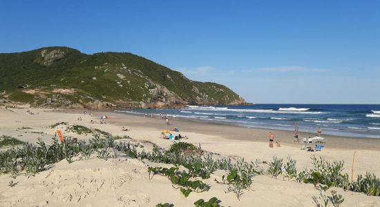 Santinho Beach