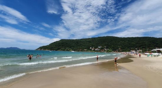 Ponta das Canas Beach