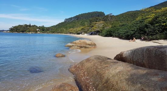 Coastal beach