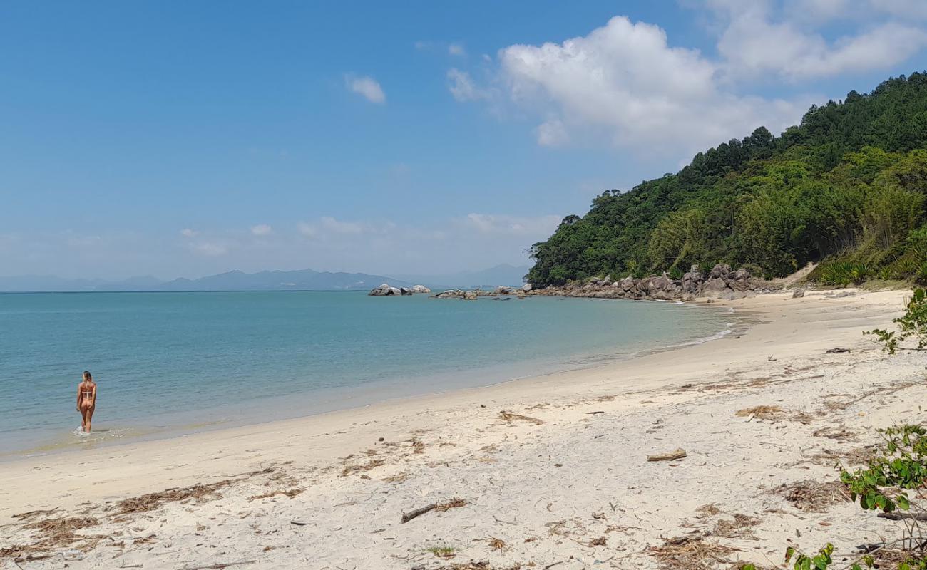 Photo of Triste Beach with bright sand surface