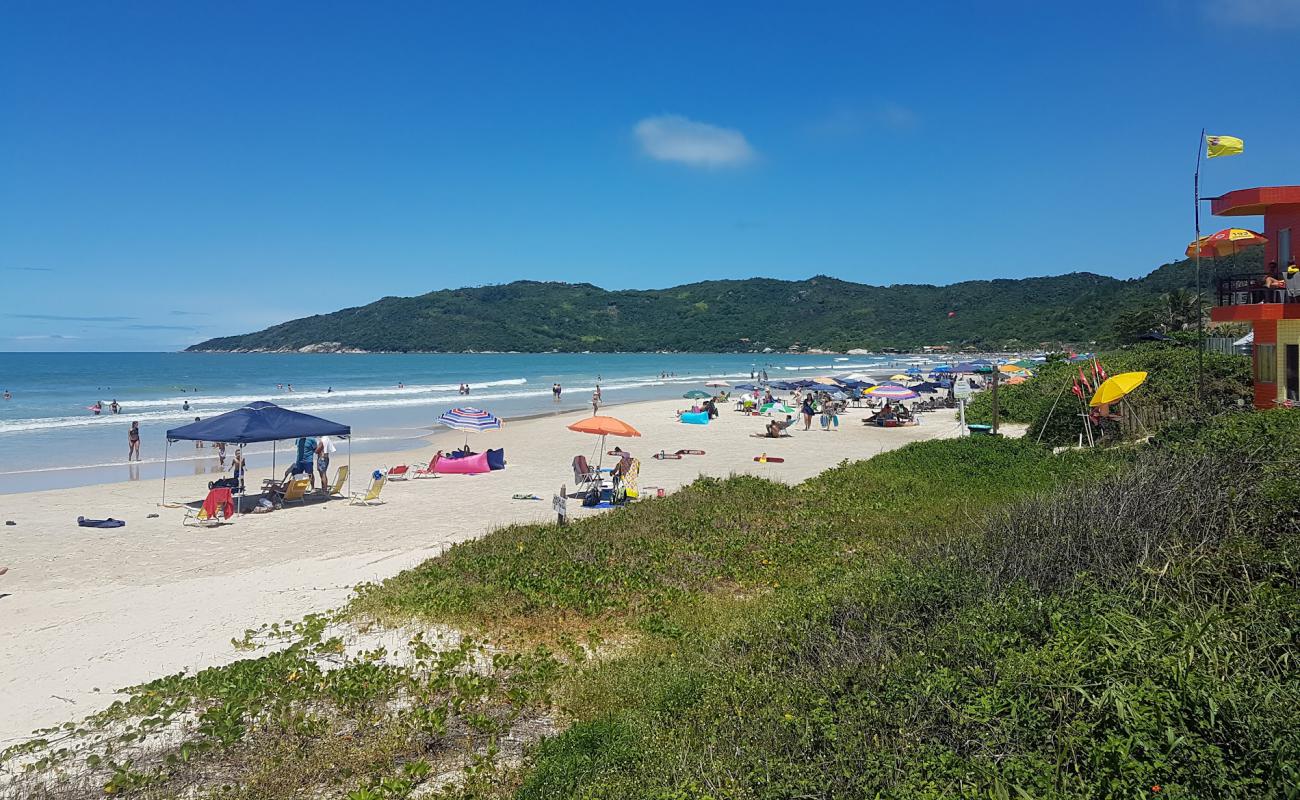 Photo of Mariscal Beach with bright fine sand surface