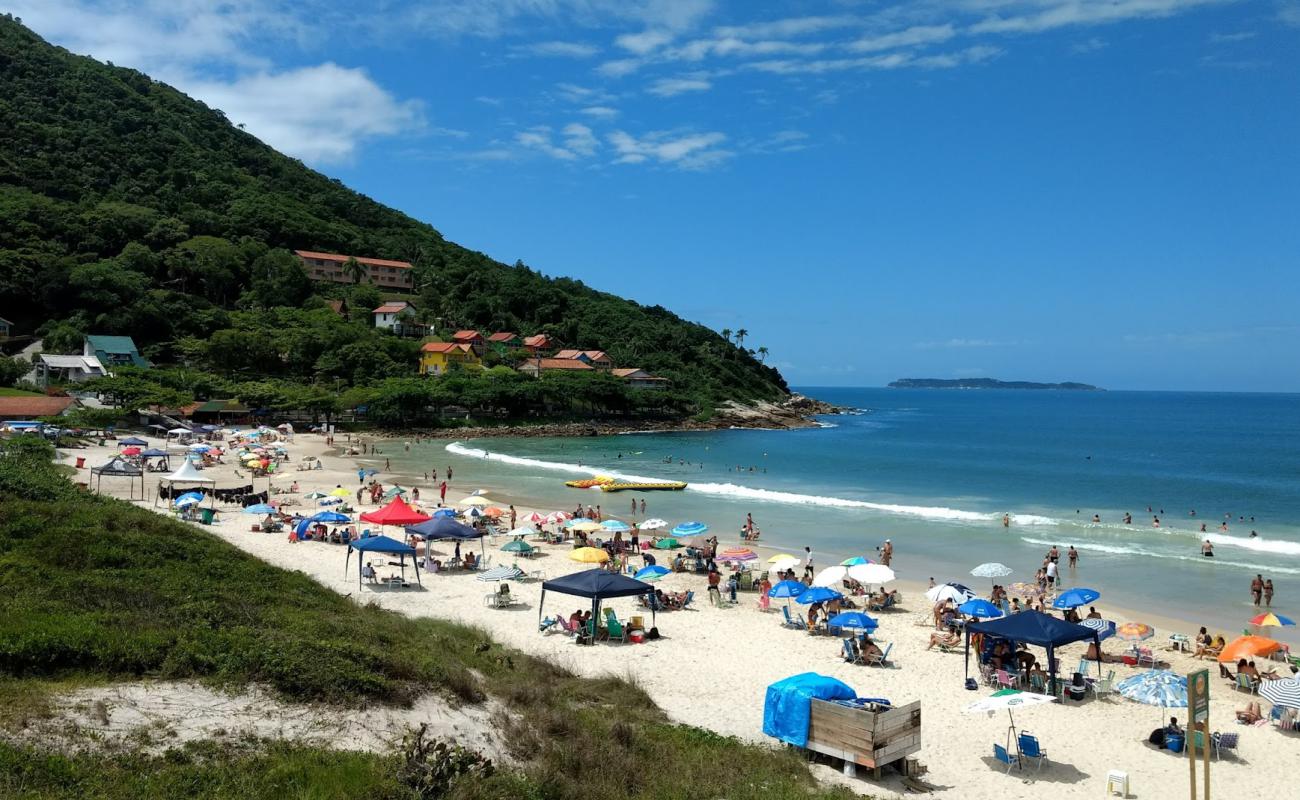 Photo of Four Beach Islands with bright fine sand surface