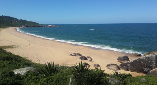 Taquarinhas Beach