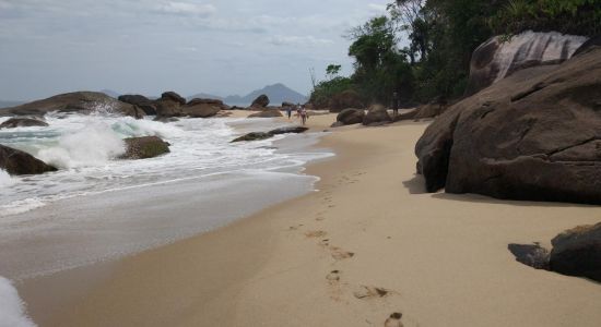 Brava De Itamambuca Beach