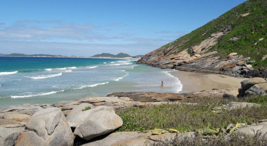 Amendoeiras Beach