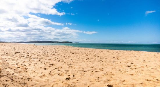 Seagull Cove Beach