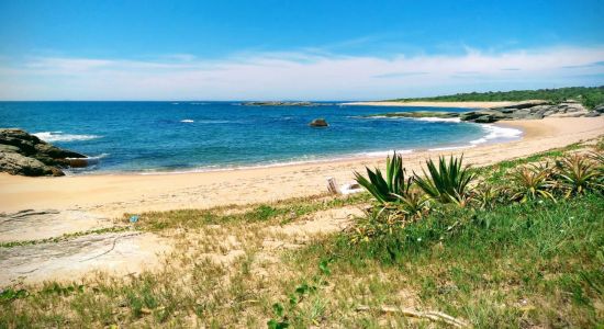 Japanese Beach