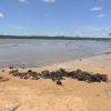 Praia dos Coqueiros