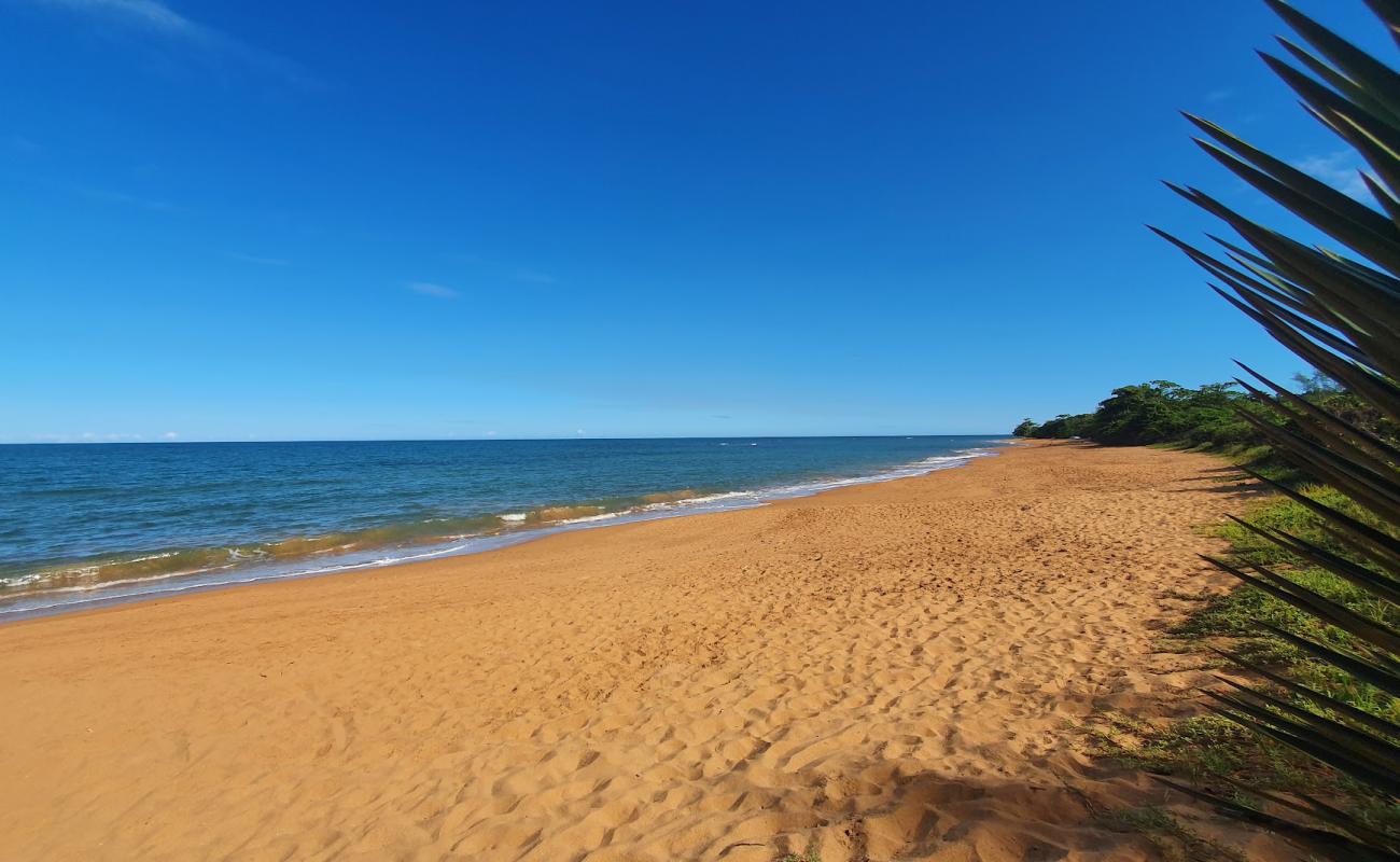 Photo of Putiri Beach with bright sand surface