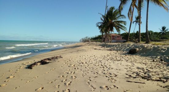 Coconut Beach