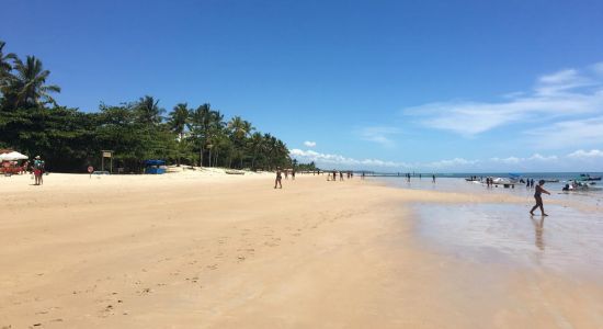 Coqueiros Beach