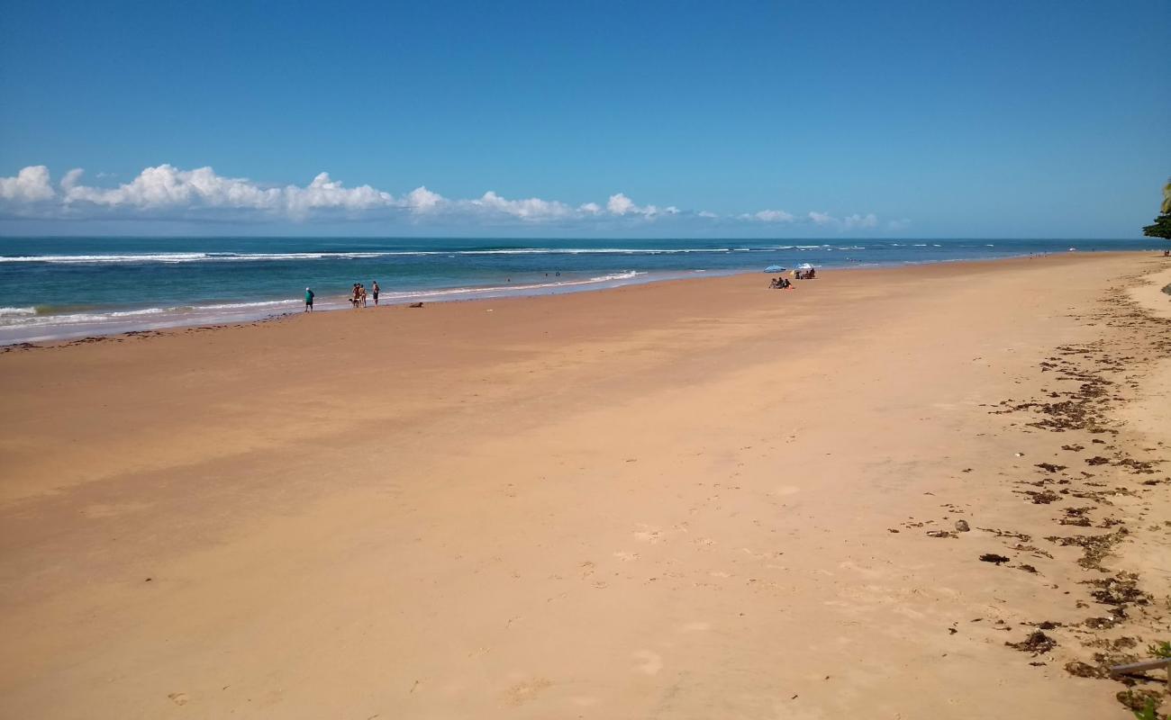 Photo of Algodoes Beach with bright fine sand surface