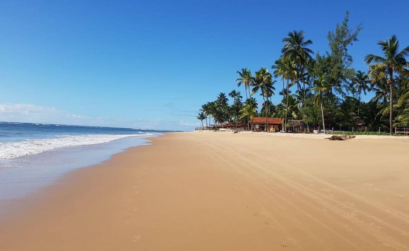 Photo of Taipus de fora beach with bright fine sand surface