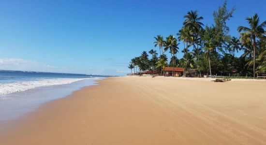 Taipus de fora beach