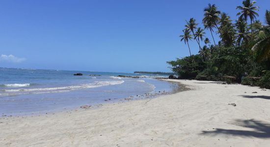 Tassimirim Beach