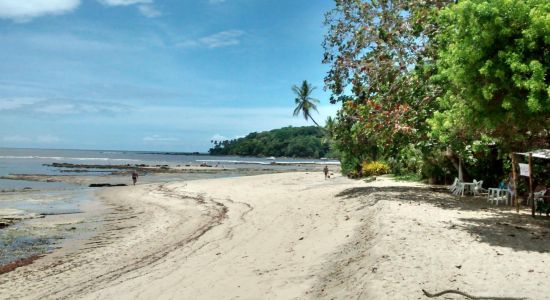 Ilha de Boipeba Beach