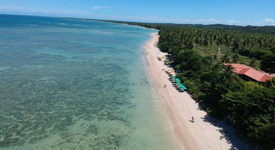 Quarta Beach