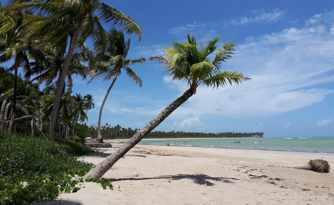 Photo of Patacho Beach with bright sand surface