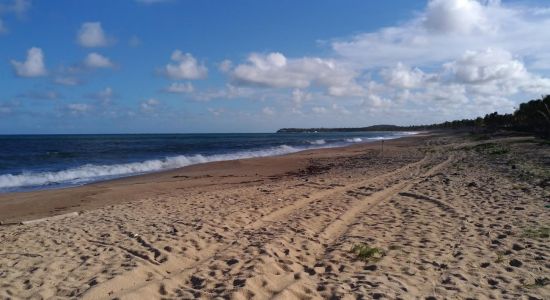 Guaiamum Beach