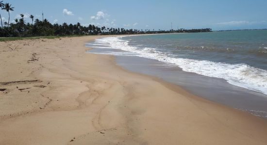 Toquinho Beach